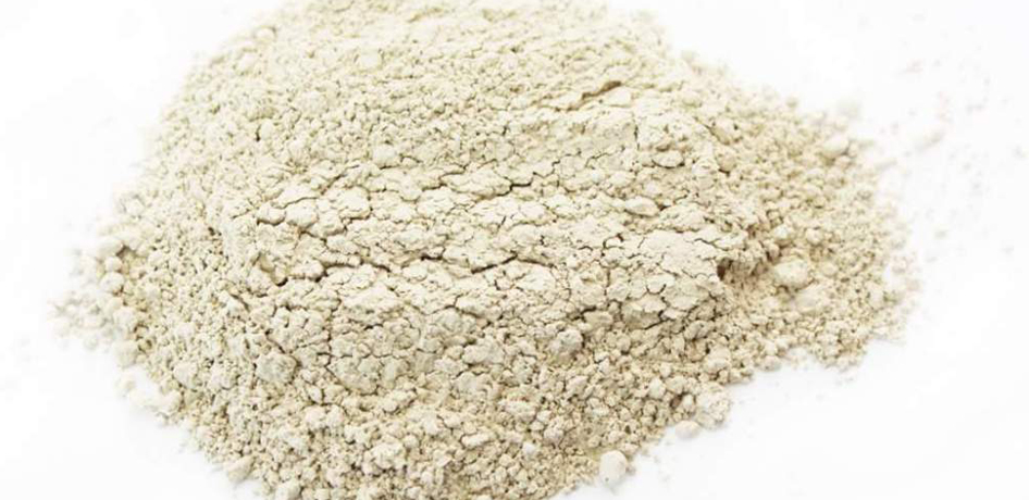 Kieselguhr (diatomaceous earth)